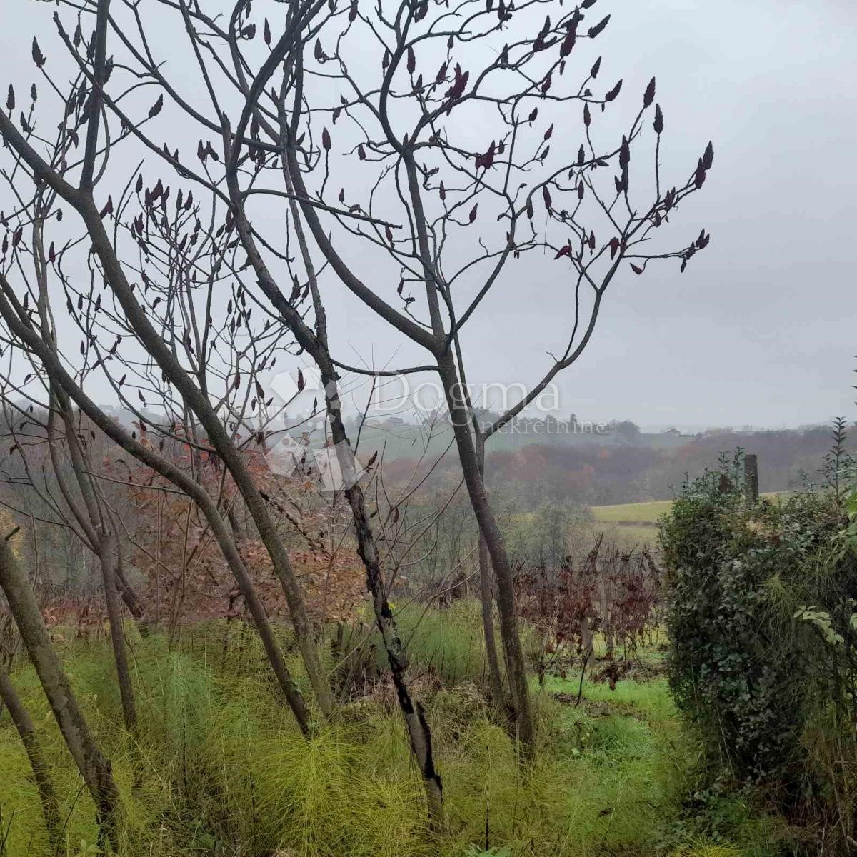 Terreno In vendita - MEĐIMURSKA  ŠTRIGOVA 