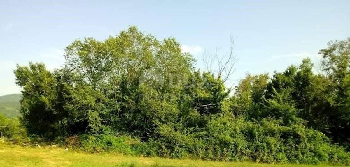 Land For sale - ISTARSKA  BUZET 