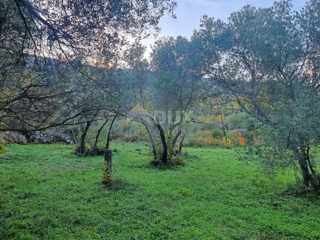 Terreno In vendita - Istarska Labin - foto 4/5