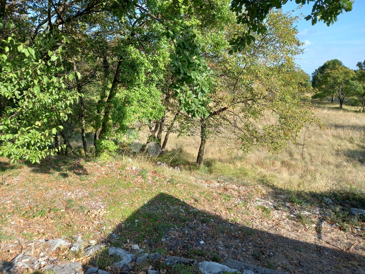 Land For sale - PRIMORSKO-GORANSKA  RIJEKA 