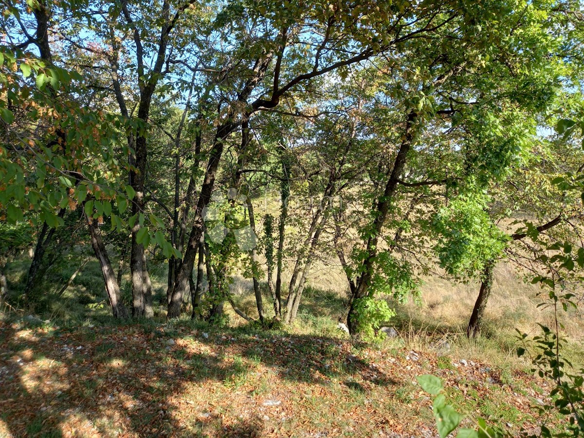 Land For sale - PRIMORSKO-GORANSKA  RIJEKA 