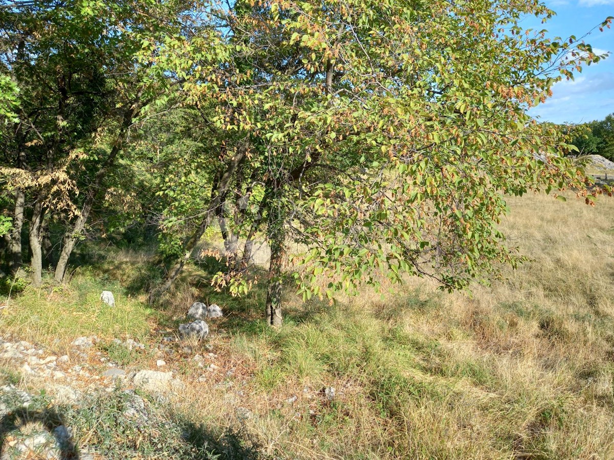 Land For sale - PRIMORSKO-GORANSKA  RIJEKA 