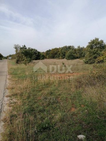 Parcela na predaj 6995 m² – Svetvinčenat
