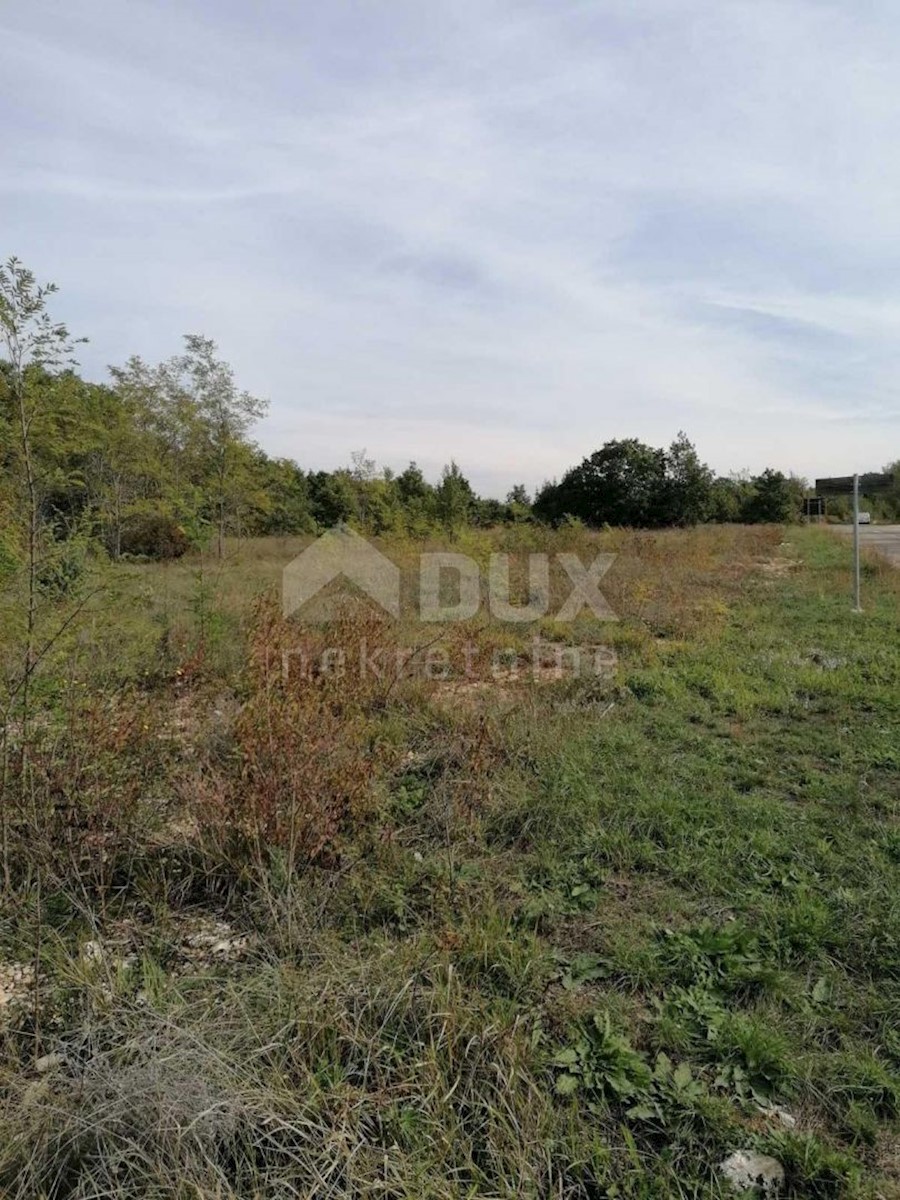 Land For sale - ISTARSKA  SVETVINČENAT 