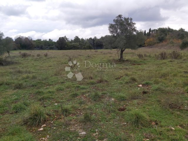 Land for sale 5100 m² – Pula