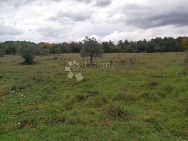 Parcela Naprodaj - Istarska Pula - foto 4/6