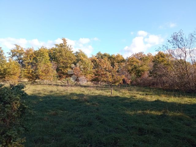 Terreno in vendita 54130 m² – Krnica