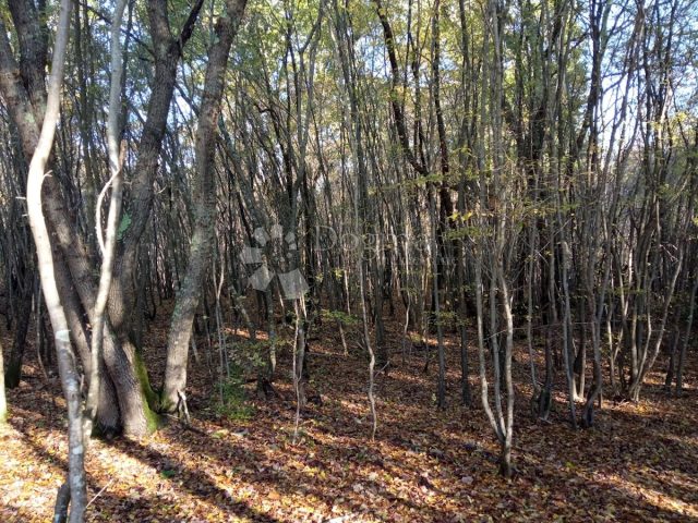 Parcela Naprodaj - Istarska Marčana - foto 4/4