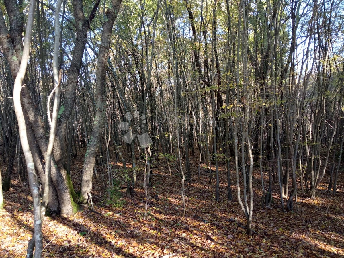 Parcela Naprodaj - ISTARSKA  Marčana