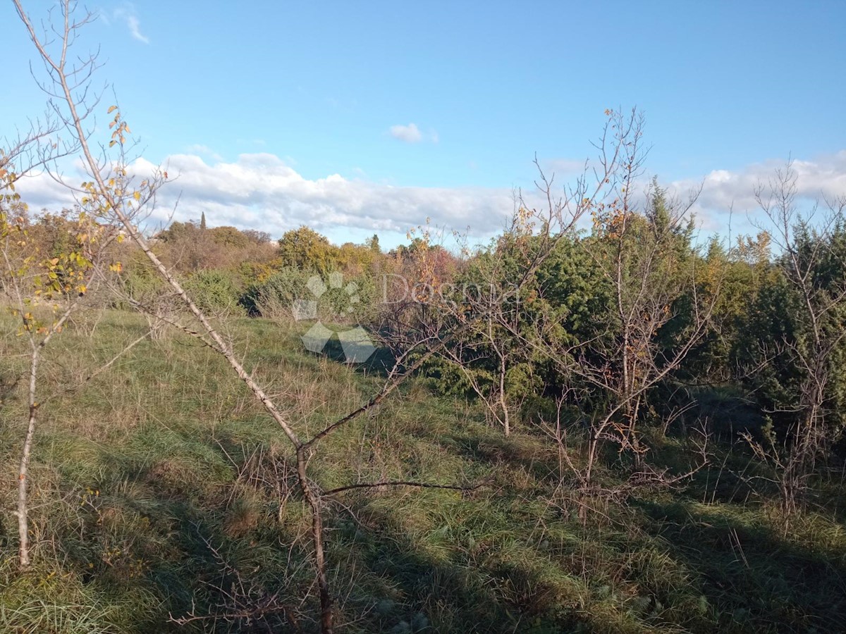 Terreno In vendita - ISTARSKA  MARČANA 