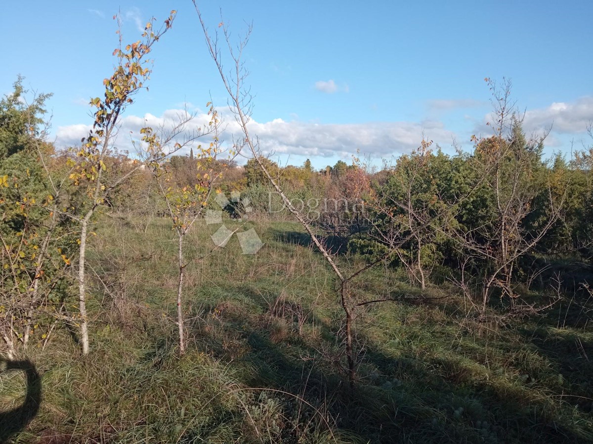 Terreno In vendita - ISTARSKA  MARČANA 