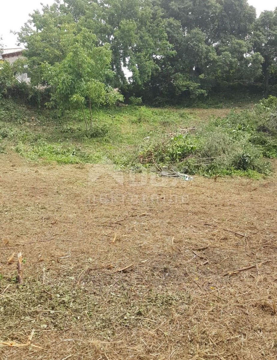 Land For sale - ISTARSKA  LIŽNJAN 