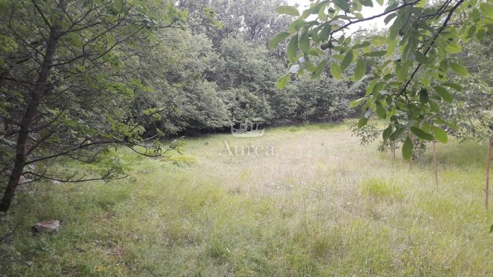 Pozemok na predaj 1285 m² – Polje