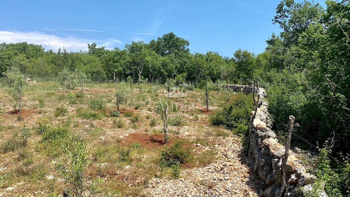 Land For sale - PRIMORSKO-GORANSKA  KRK 