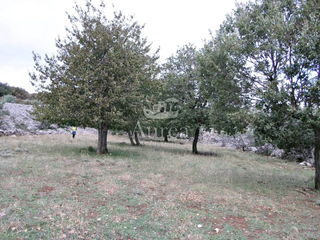 Grundstück Zu verkaufen - Primorsko-goranska Krk - foto 3/8