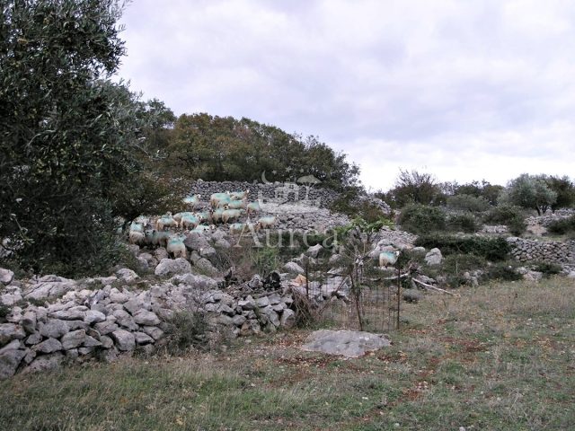 Grundstück Zu verkaufen - Primorsko-goranska Krk - foto 5/8