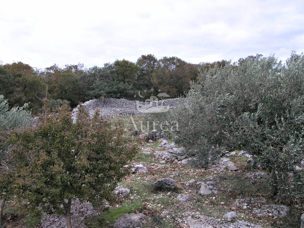 Pozemok Na predaj - PRIMORSKO-GORANSKA  KRK 