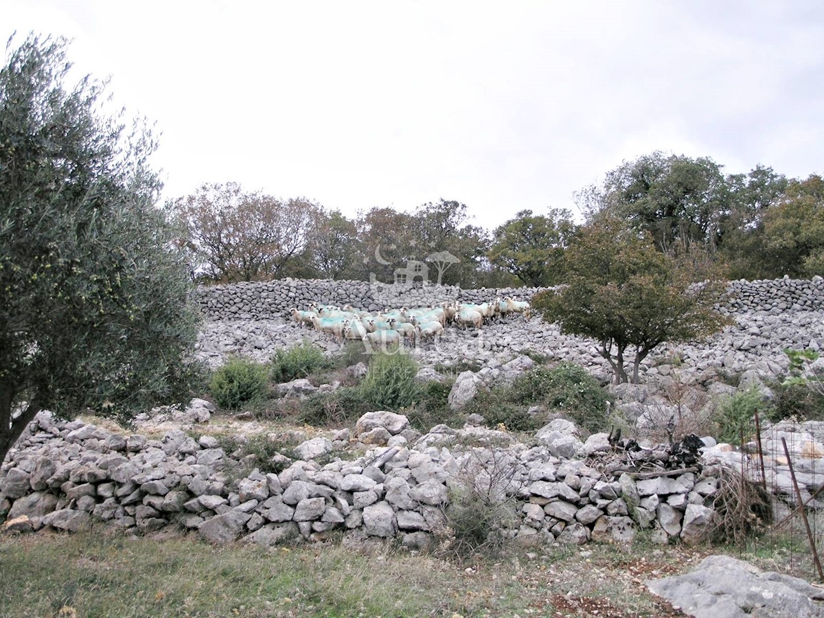 Parcela Naprodaj - PRIMORSKO-GORANSKA  Krk