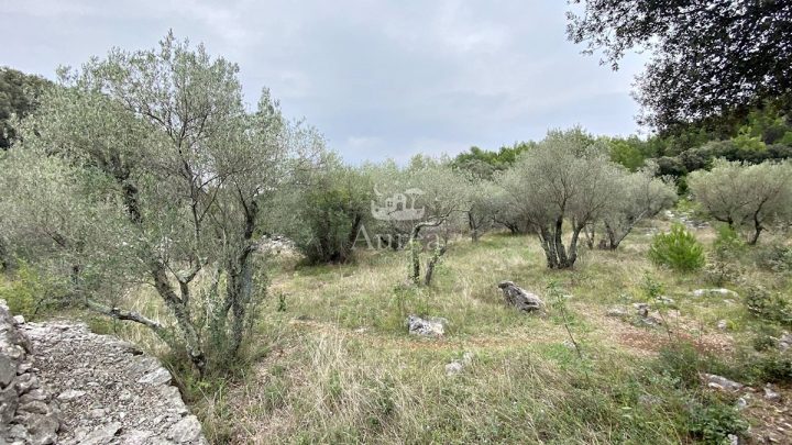 Land For sale - Primorsko-goranska Krk - foto 2/4