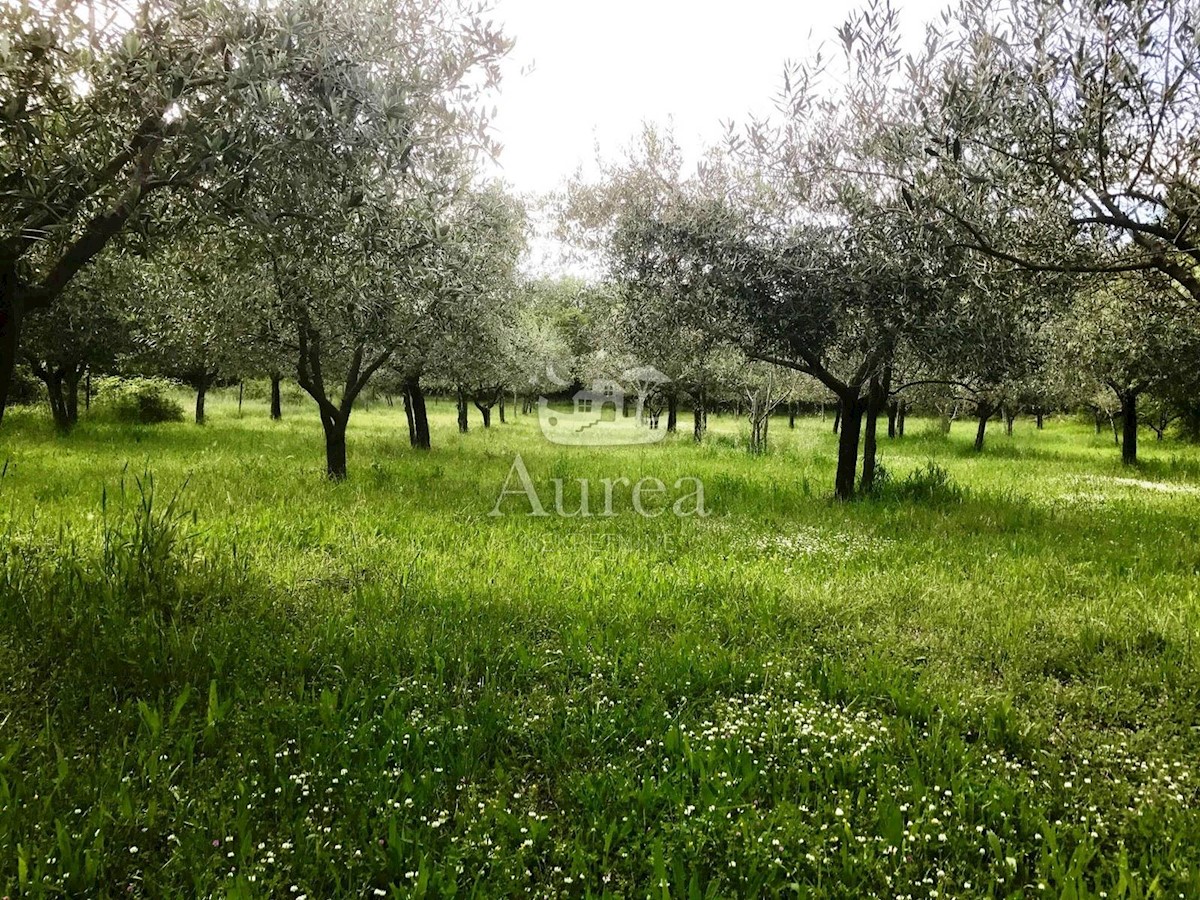 Terreno In vendita MILOHNIĆI