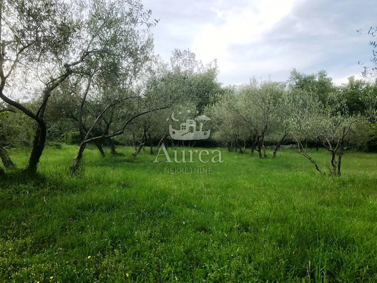 Land For sale - PRIMORSKO-GORANSKA  KRK 