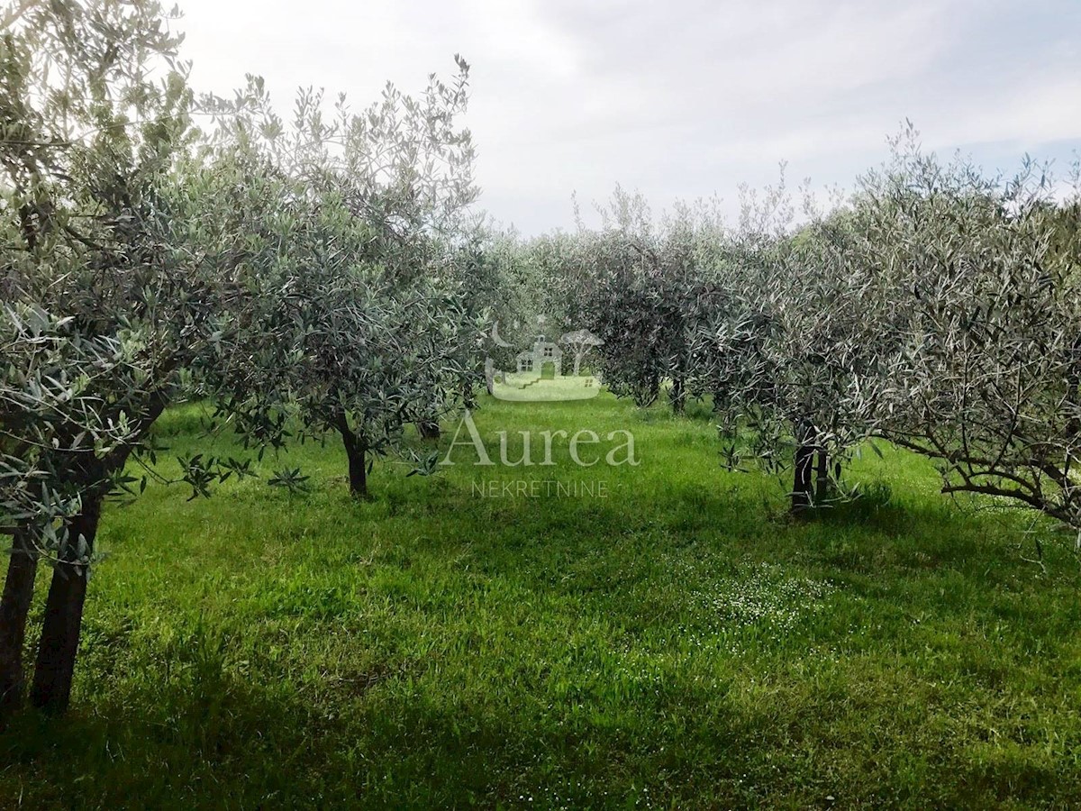 Land For sale - PRIMORSKO-GORANSKA  KRK 