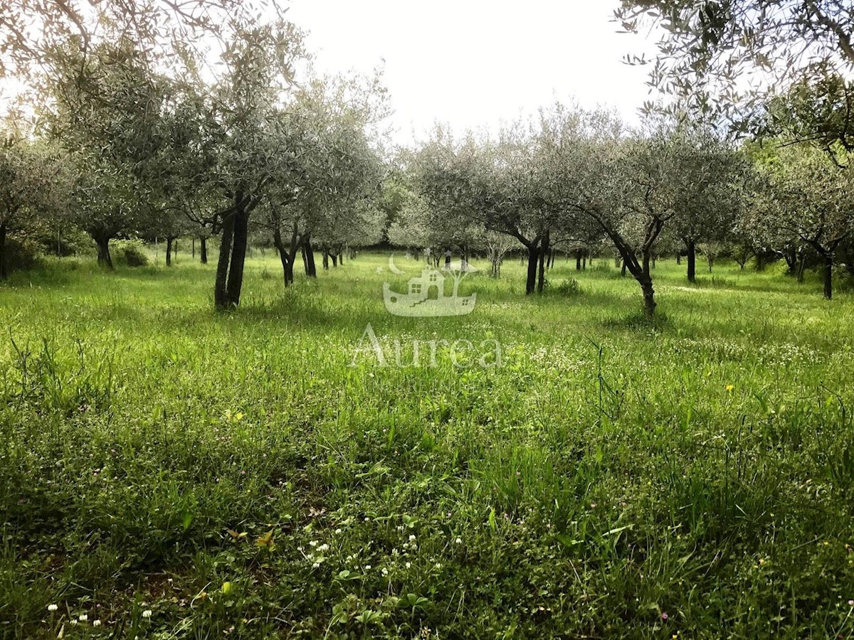 Land For sale - PRIMORSKO-GORANSKA  KRK 