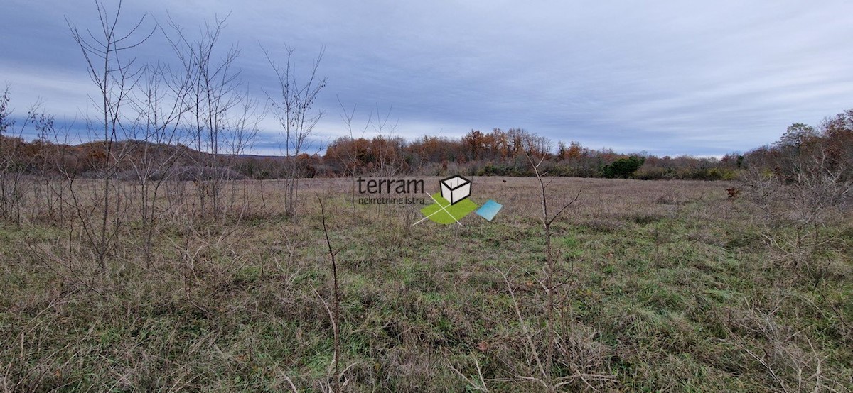 Terreno In vendita - ISTARSKA  BALE 