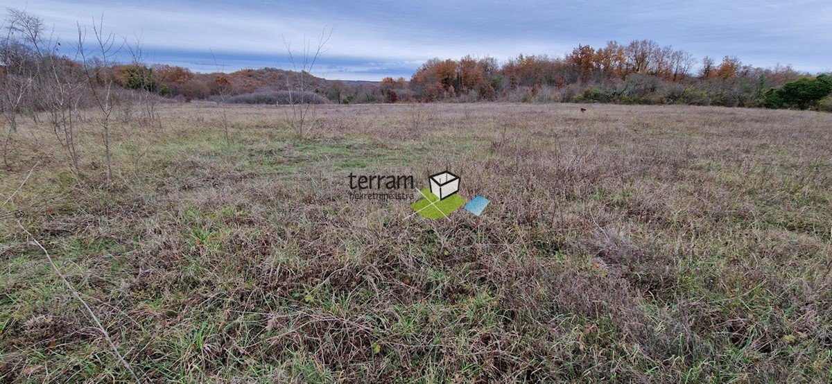 Terreno In vendita - ISTARSKA  BALE 