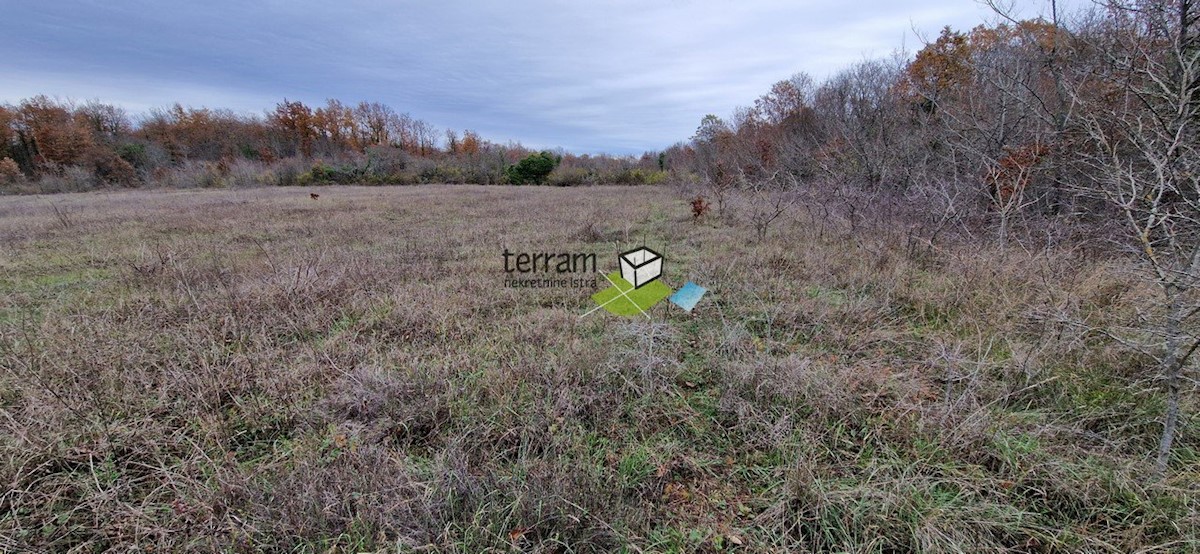 Terreno In vendita - ISTARSKA  BALE 