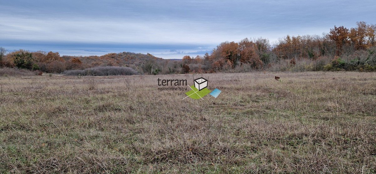 Terreno In vendita - ISTARSKA  BALE 