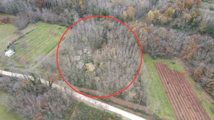 Land for sale 2500 m² – Labin