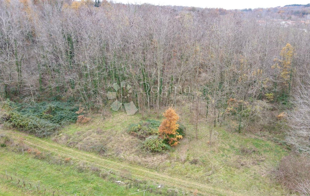 Pozemek Na prodej - Istarska Labin - foto 2/2