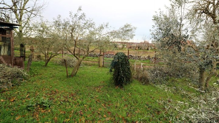 Parcela Naprodaj - Istarska Višnjan - foto 2/2