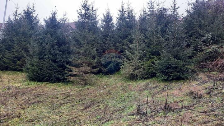 Terrain À vendre - Primorsko-goranska Vrbovsko - foto 3/3