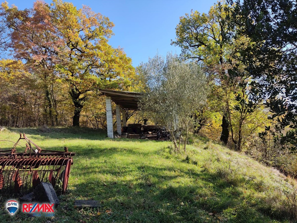 Haus Zu verkaufen - ISTARSKA  LABIN 