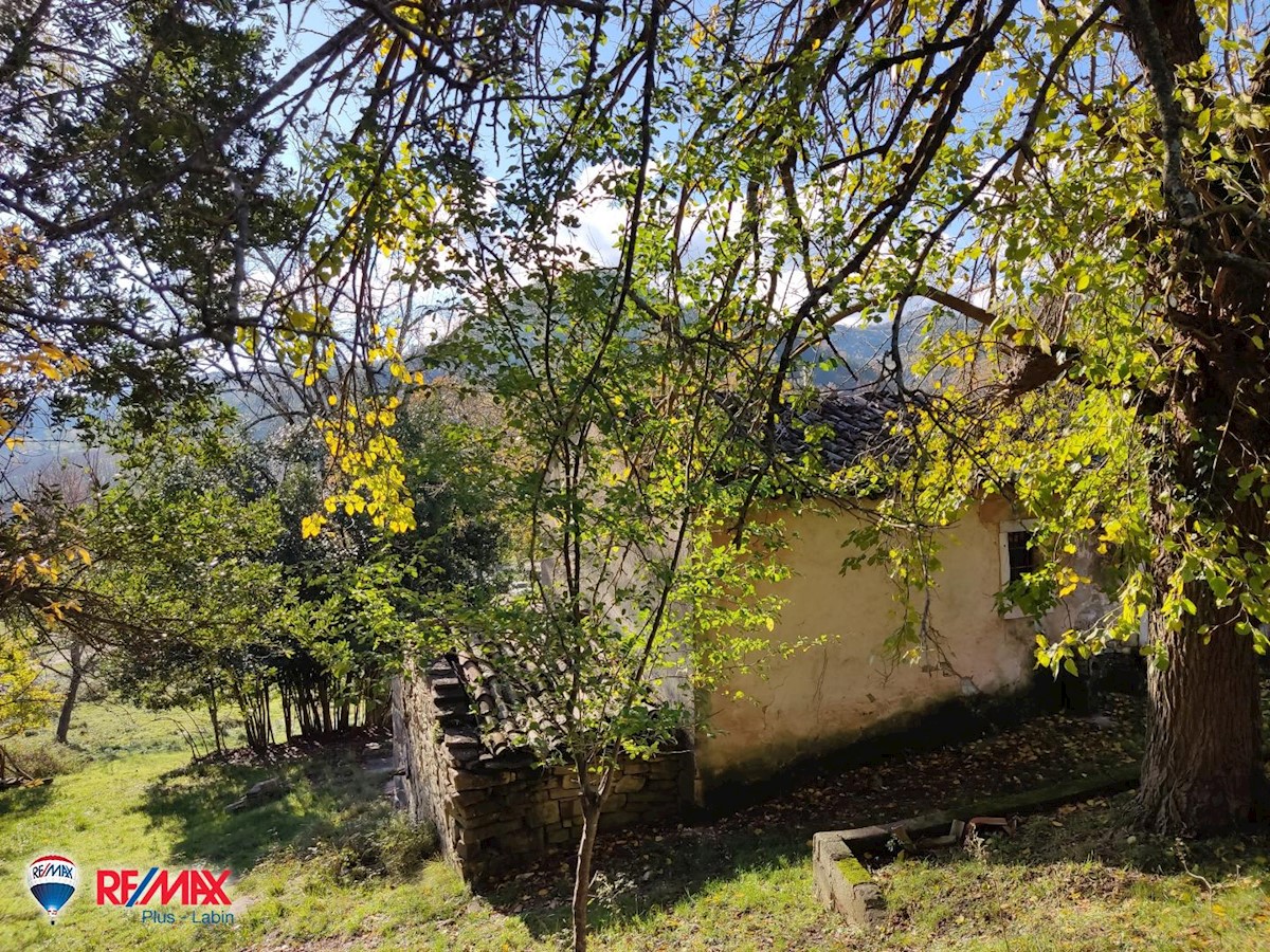 Haus Zu verkaufen - ISTARSKA  LABIN 