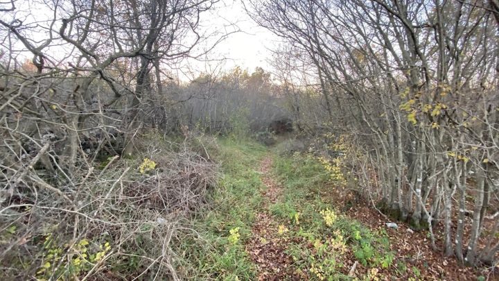Land For sale - Primorsko-goranska Krk - foto 5/5