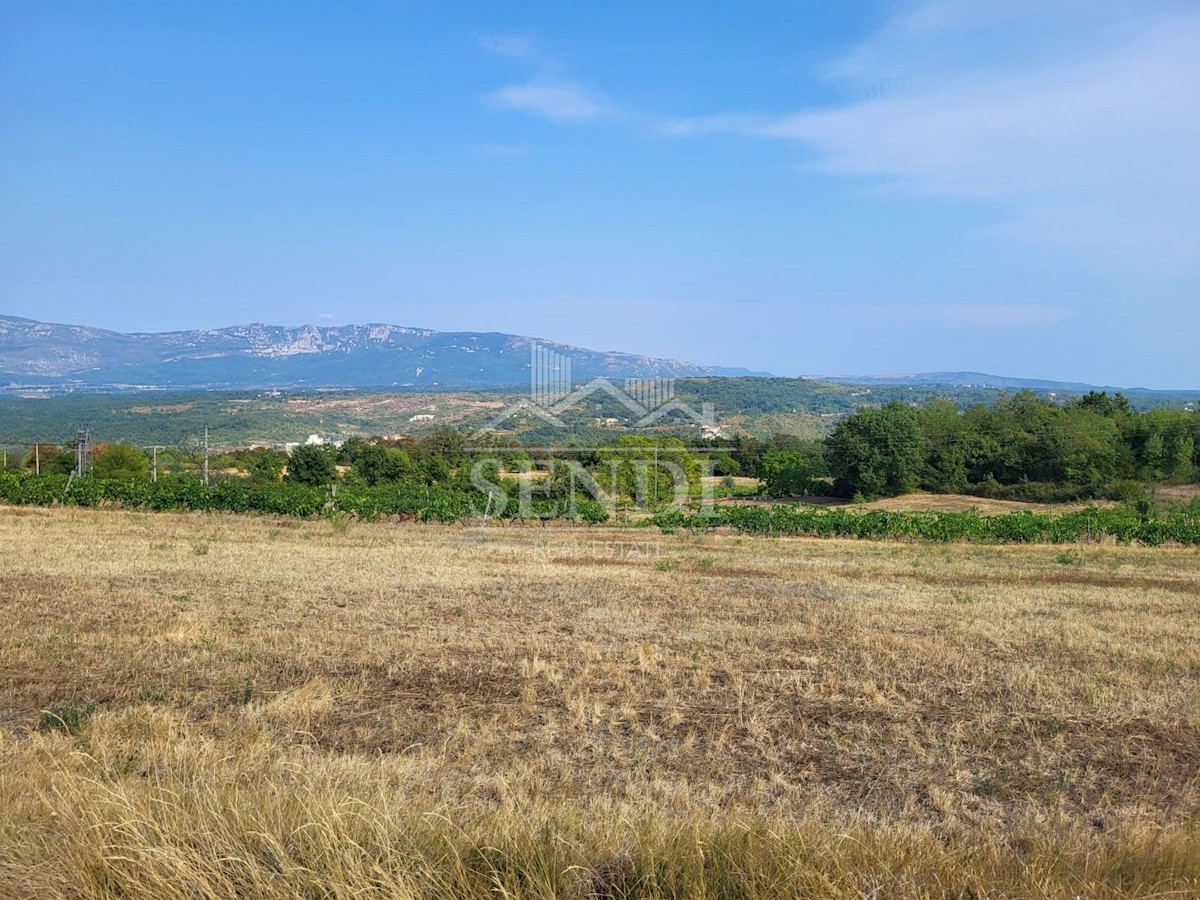 Land For sale - ISTARSKA  PIĆAN 