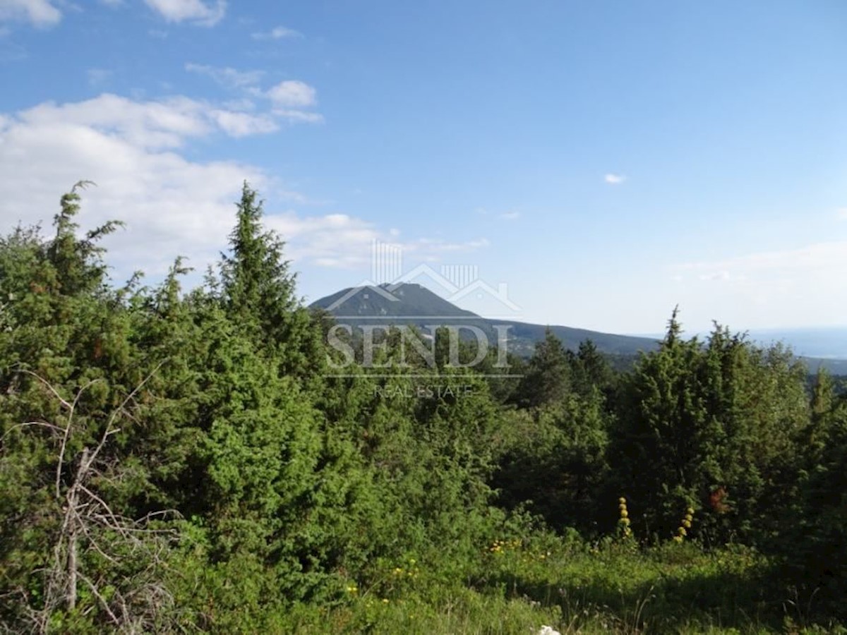 Land For sale - ISTARSKA  LUPOGLAV 