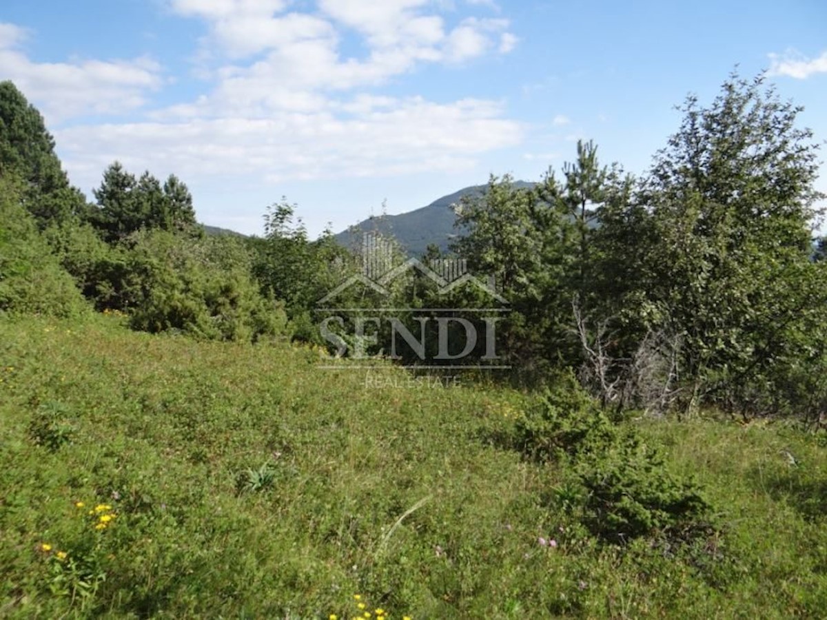 Land For sale - ISTARSKA  LUPOGLAV 