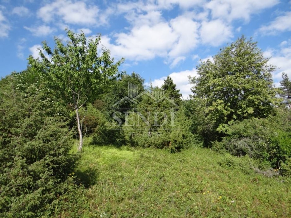 Land For sale - ISTARSKA  LUPOGLAV 