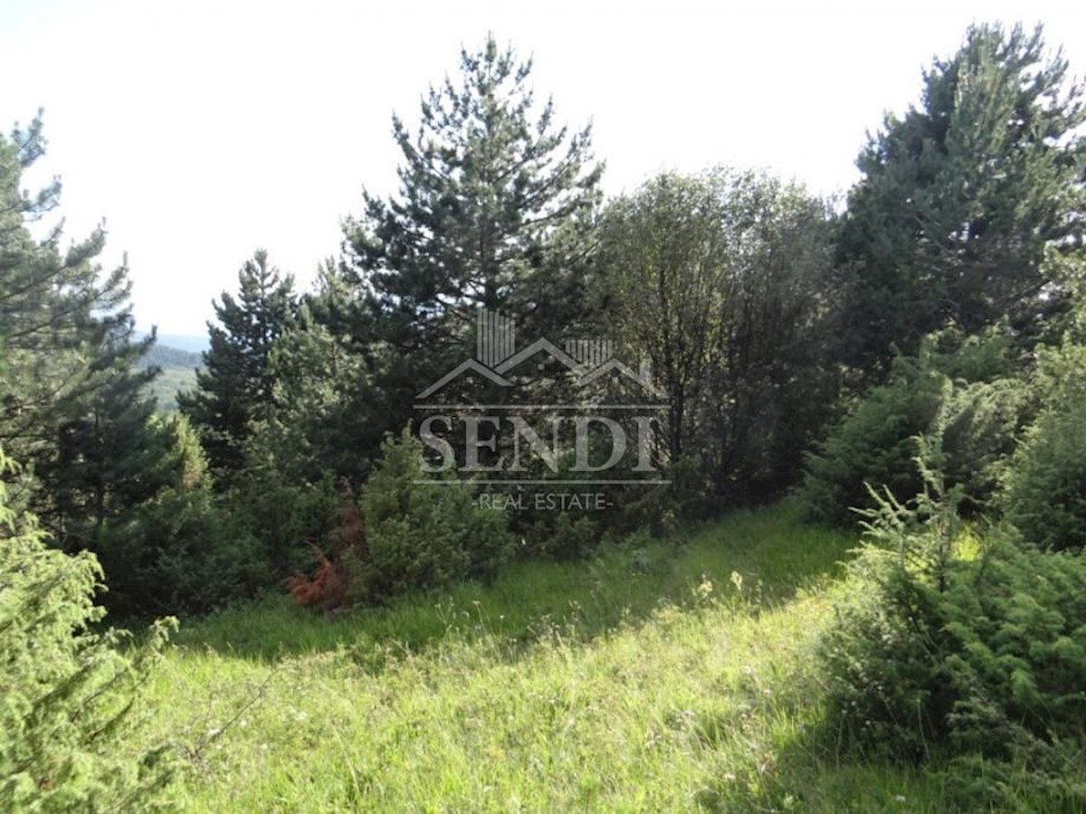 Land For sale - ISTARSKA  LUPOGLAV 