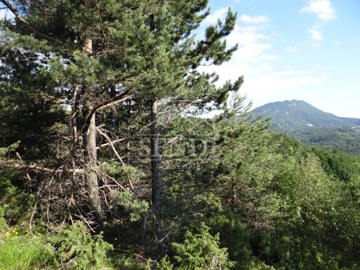 Land For sale - ISTARSKA  LUPOGLAV 