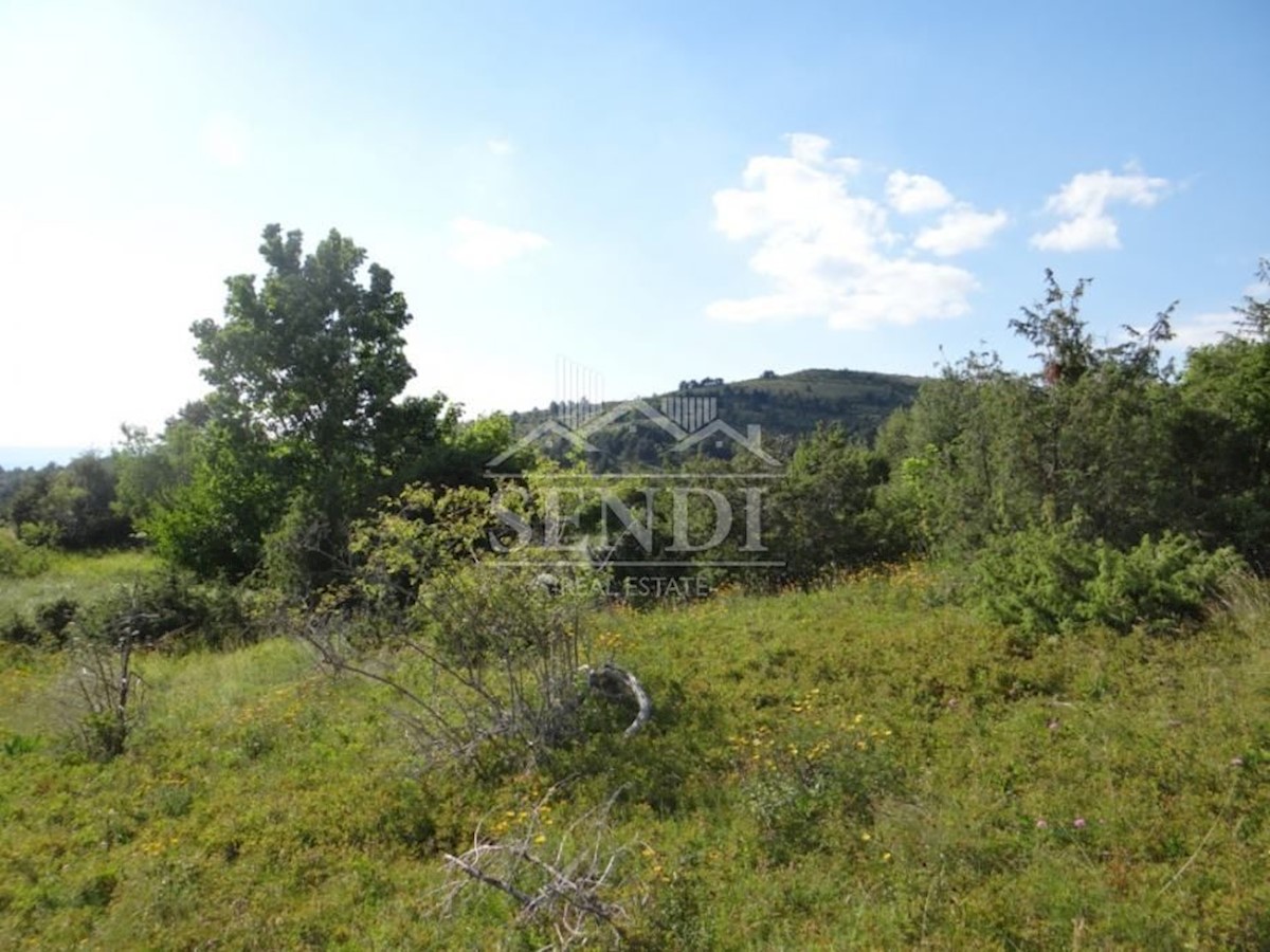 Land For sale - ISTARSKA  LUPOGLAV 