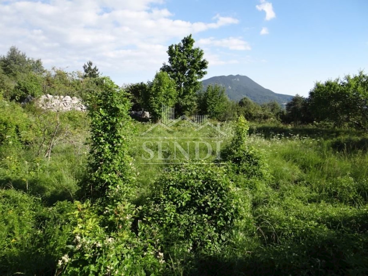 Land For sale - ISTARSKA  LUPOGLAV 