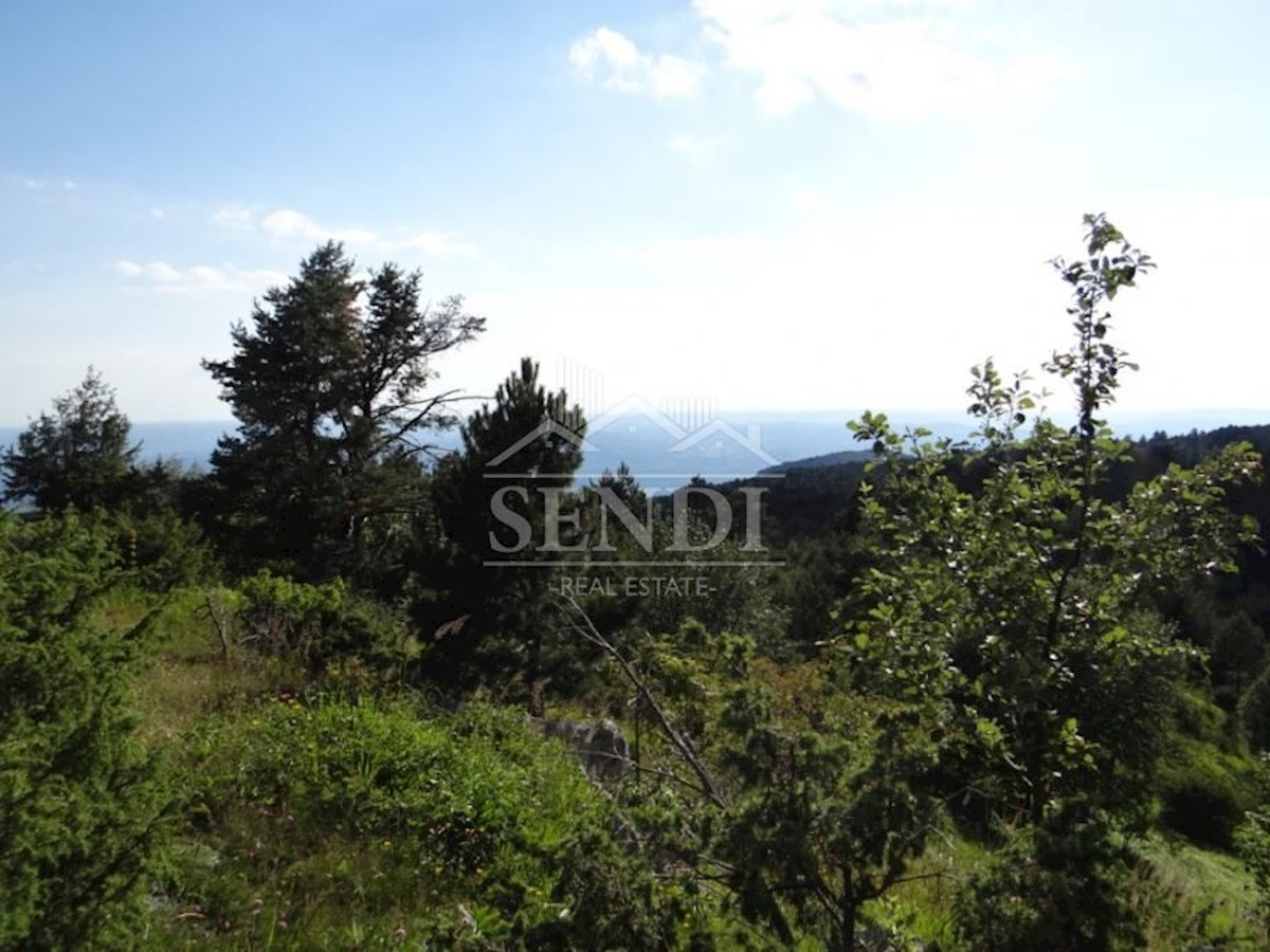 Land For sale - ISTARSKA  LUPOGLAV 