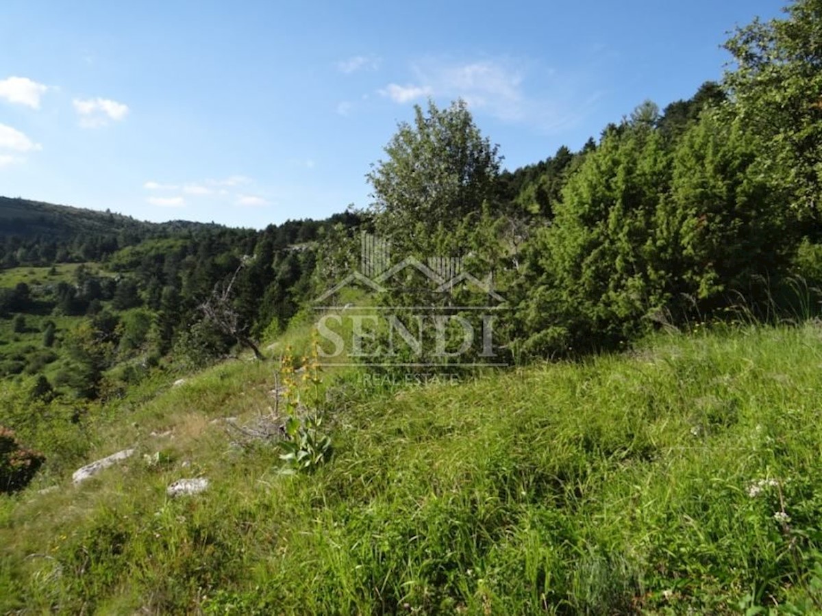 Land For sale - ISTARSKA  LUPOGLAV 