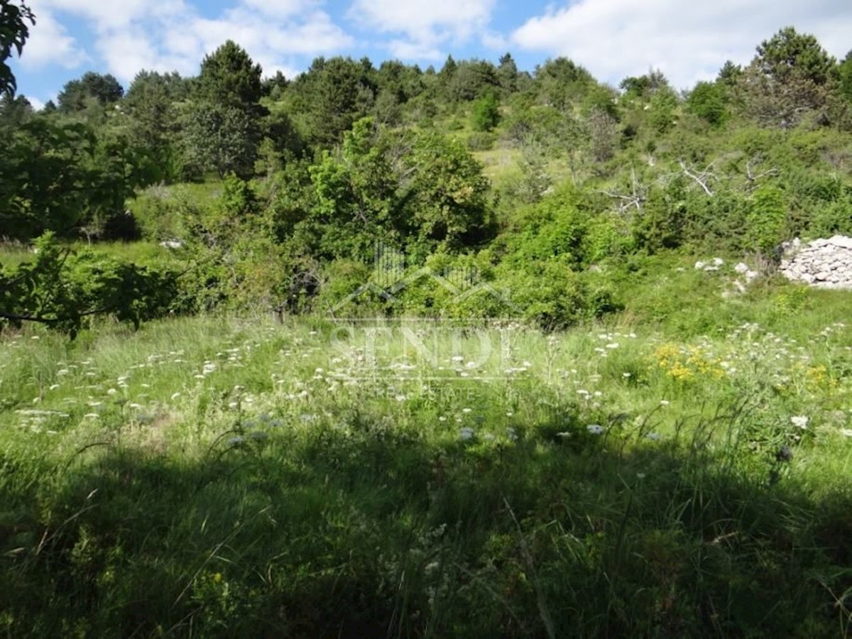 Terreno In vendita - ISTARSKA  LUPOGLAV 