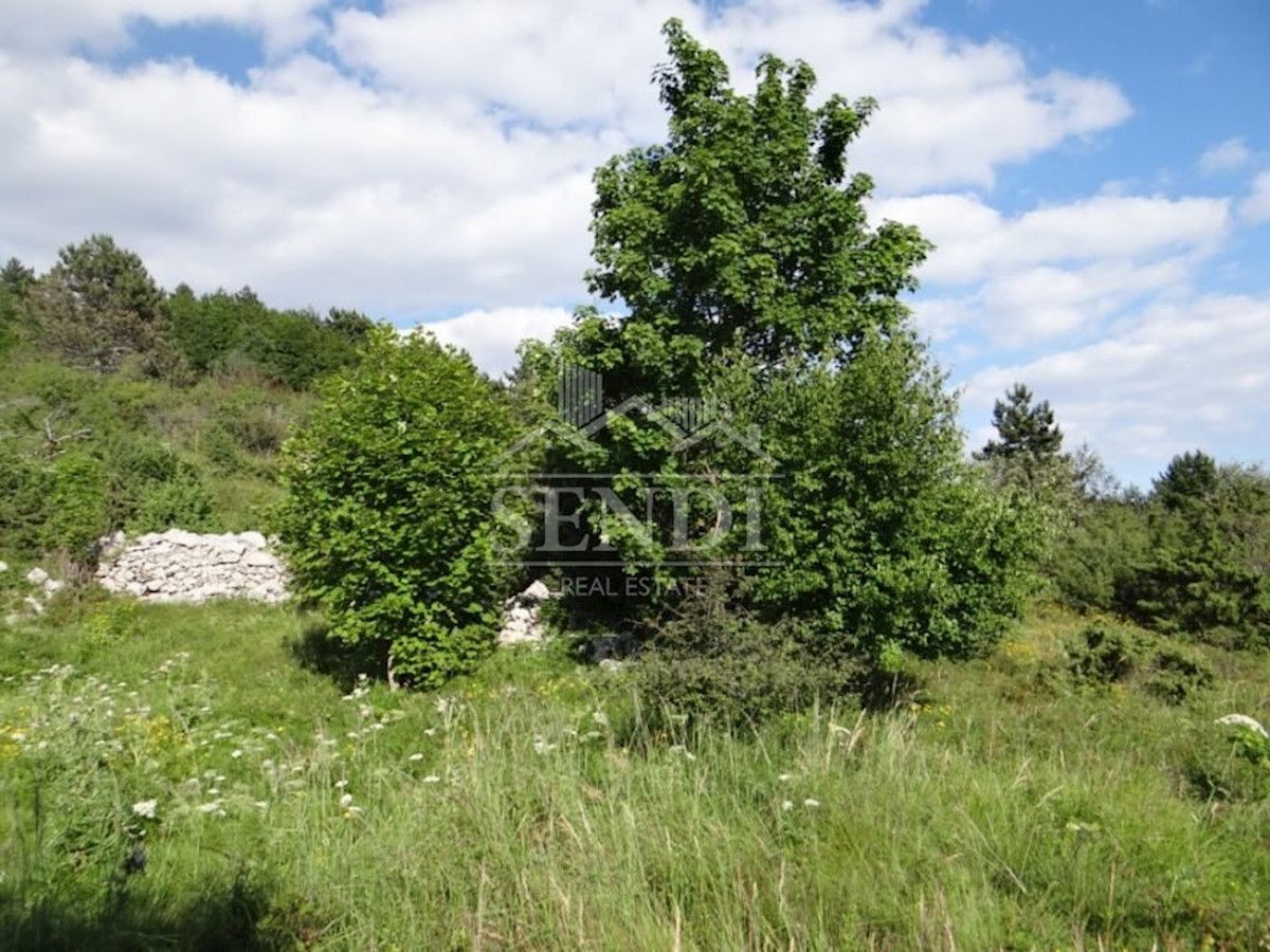 Land For sale - ISTARSKA  LUPOGLAV 